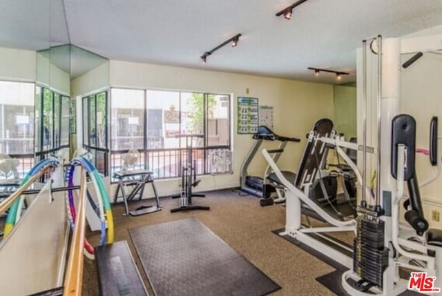 workout area featuring carpet floors and track lighting