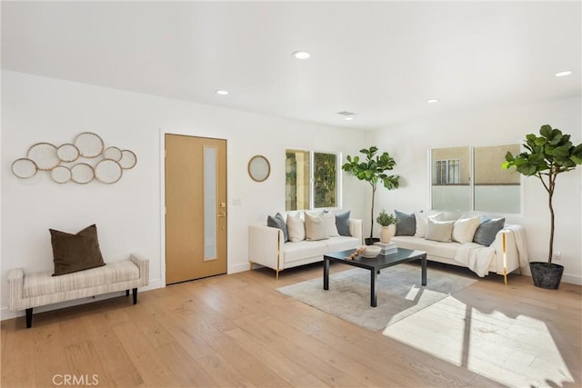 living room featuring light wood-type flooring