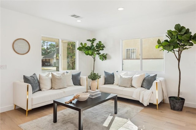 living room featuring light wood-type flooring