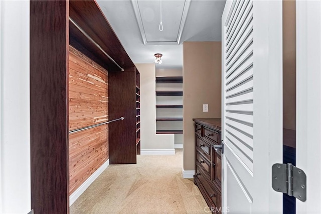 spacious closet with light colored carpet