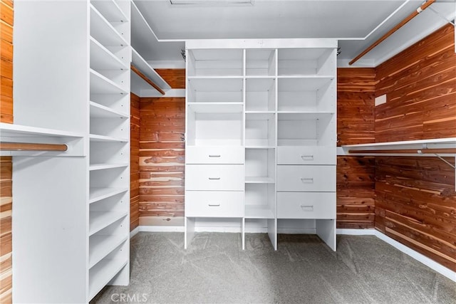 spacious closet with carpet flooring