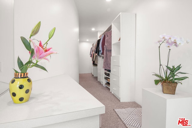 spacious closet with light colored carpet