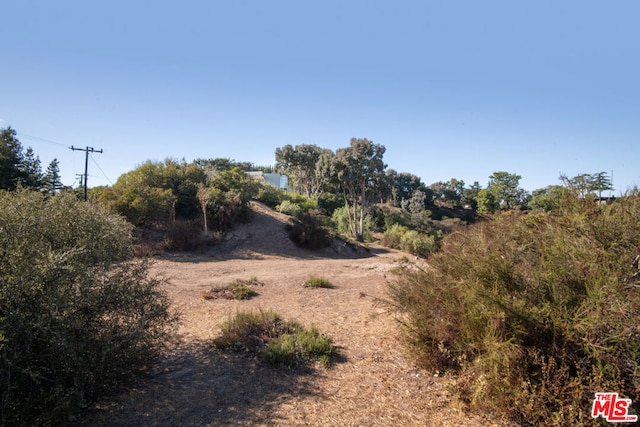 view of local wilderness