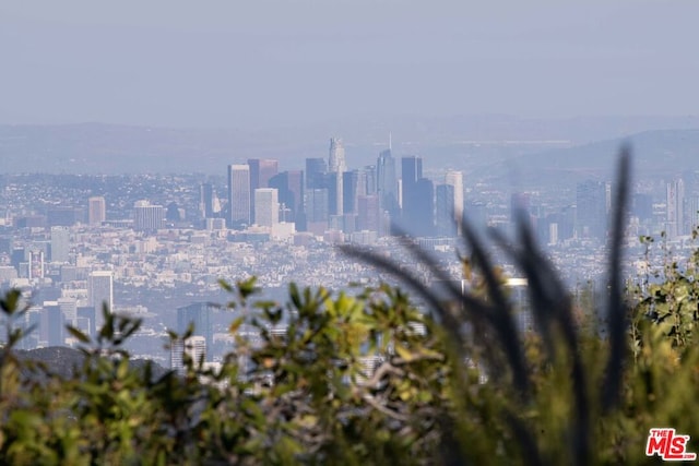 property's view of city