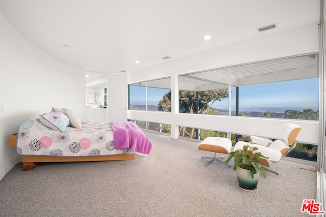 carpeted bedroom with multiple windows