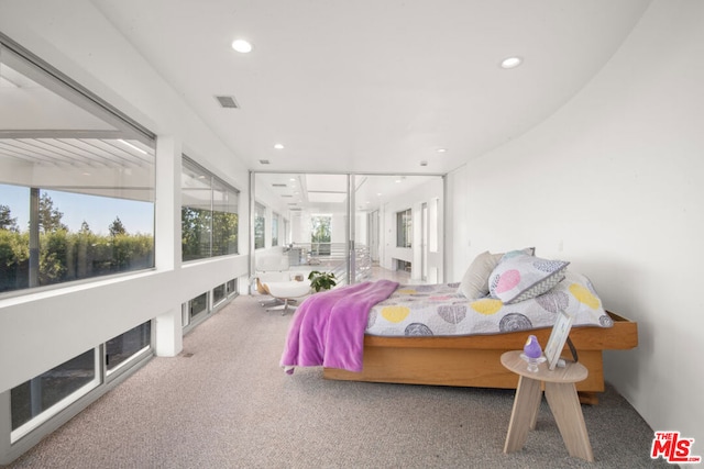 bedroom with carpet flooring