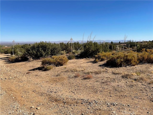 view of local wilderness featuring a rural view