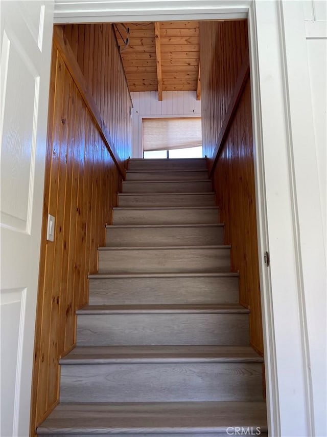 staircase featuring wood-type flooring and wood walls