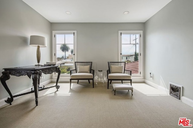 sitting room with plenty of natural light and carpet floors