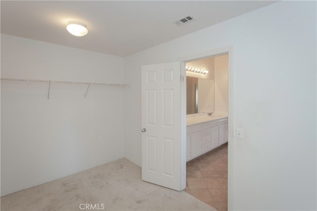 spacious closet with light carpet and sink