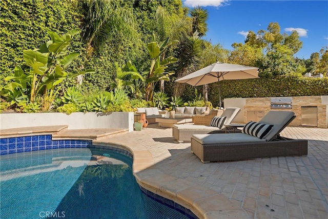 view of pool featuring outdoor lounge area, an outdoor kitchen, grilling area, and a patio area