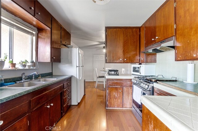 kitchen featuring ceiling fan, backsplash, light hardwood / wood-style floors, sink, and white appliances