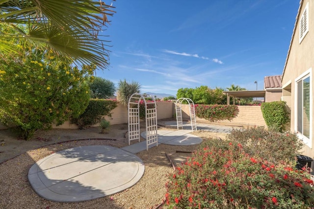 view of yard with a patio