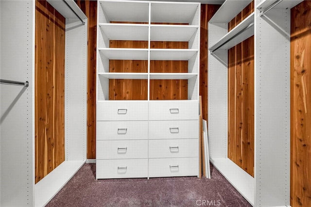 spacious closet with dark colored carpet