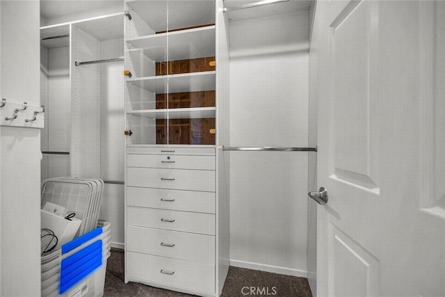 spacious closet featuring dark colored carpet