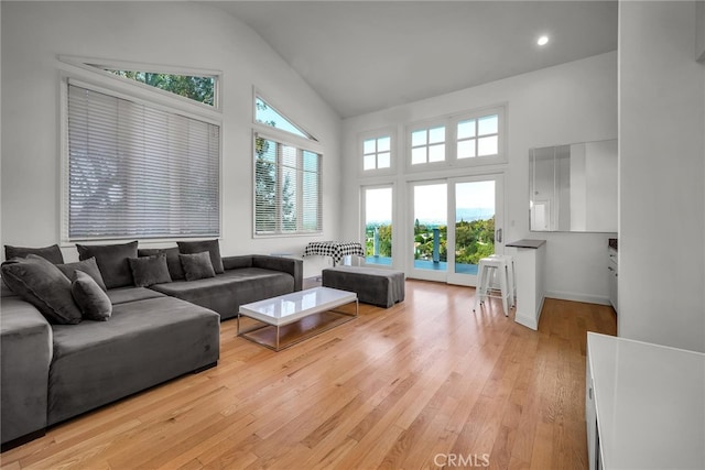 living room featuring high vaulted ceiling and light hardwood / wood-style flooring