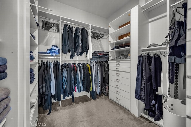 spacious closet featuring carpet flooring