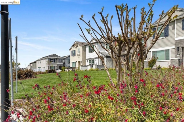 view of front of house with a front yard