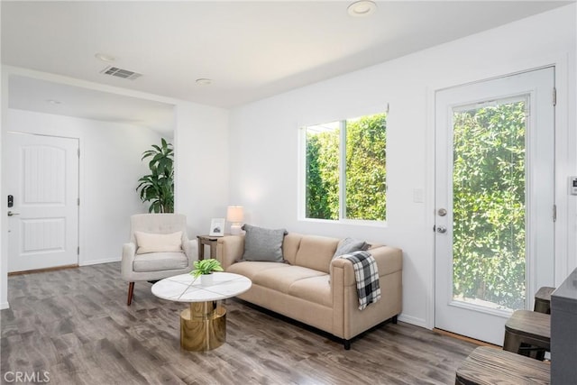 living room with wood-type flooring