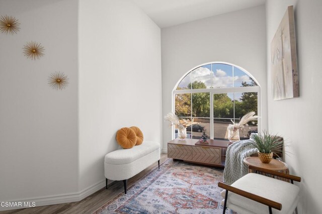 living area featuring hardwood / wood-style floors and high vaulted ceiling