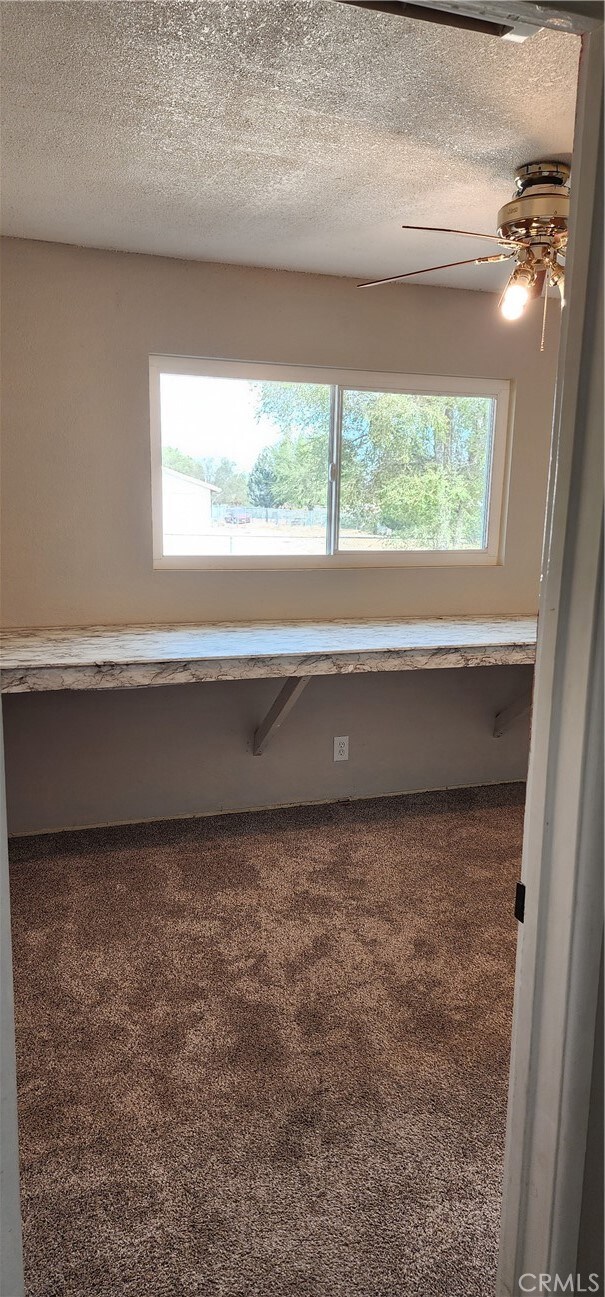 unfurnished room featuring ceiling fan, a textured ceiling, a wealth of natural light, and carpet floors