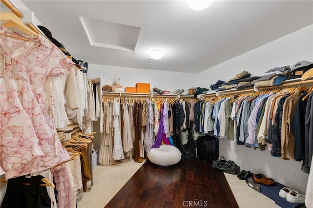 walk in closet featuring wood-type flooring