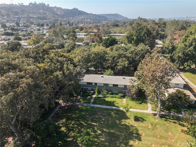 drone / aerial view featuring a mountain view