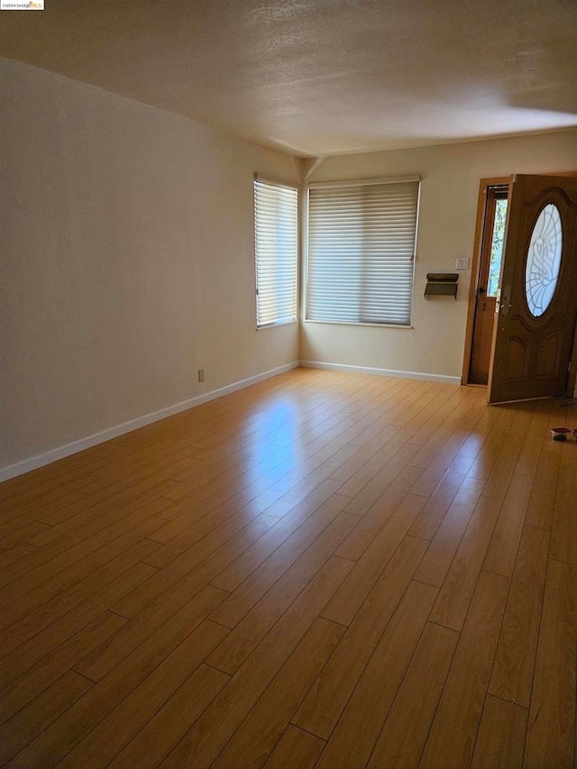 entrance foyer featuring a wealth of natural light and light wood-type flooring