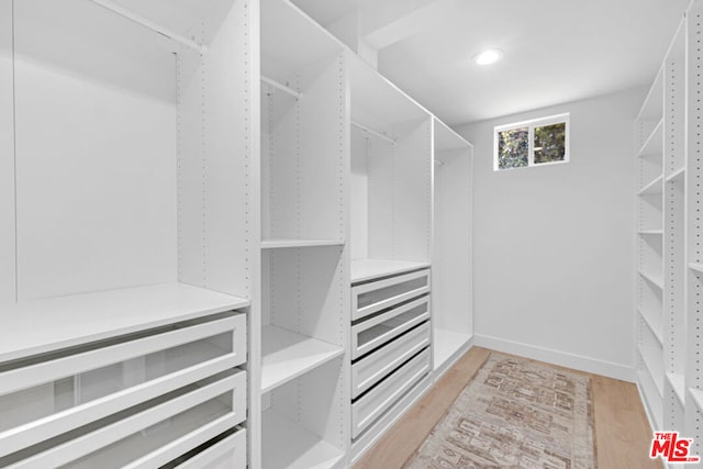 spacious closet with light wood-type flooring