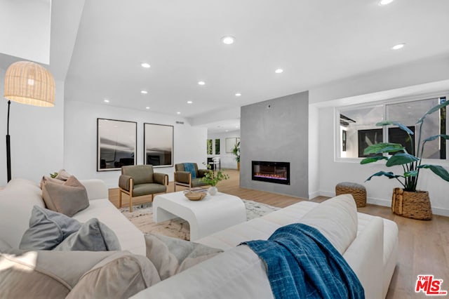 living room with a fireplace and light hardwood / wood-style flooring