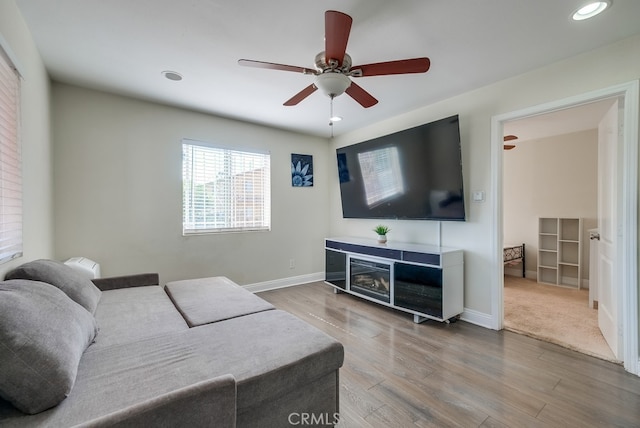 living room featuring ceiling fan and wood-type flooring