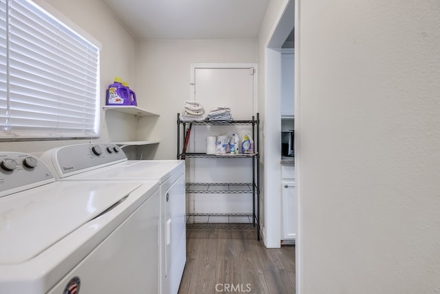 laundry room featuring washer and dryer and wood-type flooring