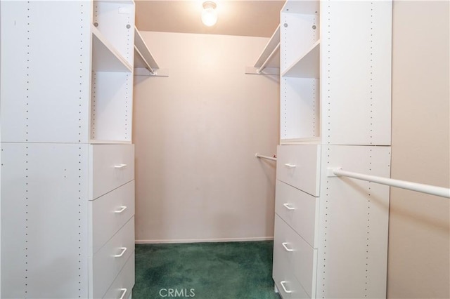 walk in closet featuring dark carpet