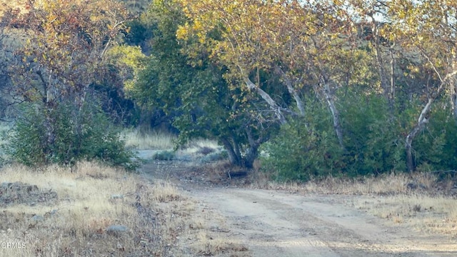 7451 Foothill Rd, Cuyama CA, 93254 land for sale