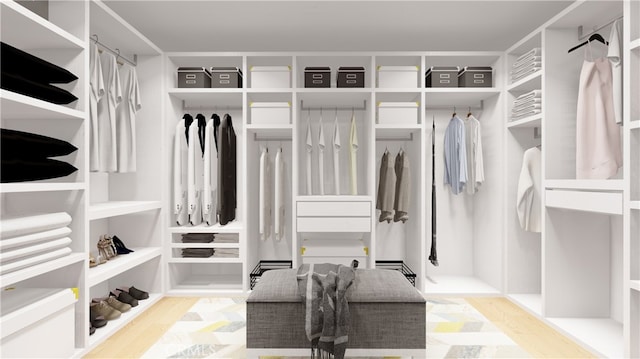 walk in closet featuring wood-type flooring