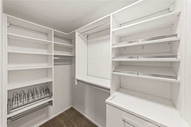 spacious closet with carpet floors