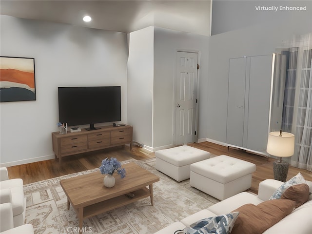 living room featuring wood-type flooring