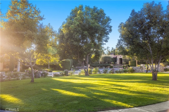 view of home's community featuring a yard