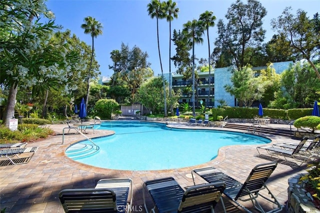 view of pool with a patio