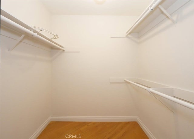 walk in closet featuring wood-type flooring