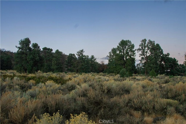 0 Curtis Trl, Frazier Park, CA 93225