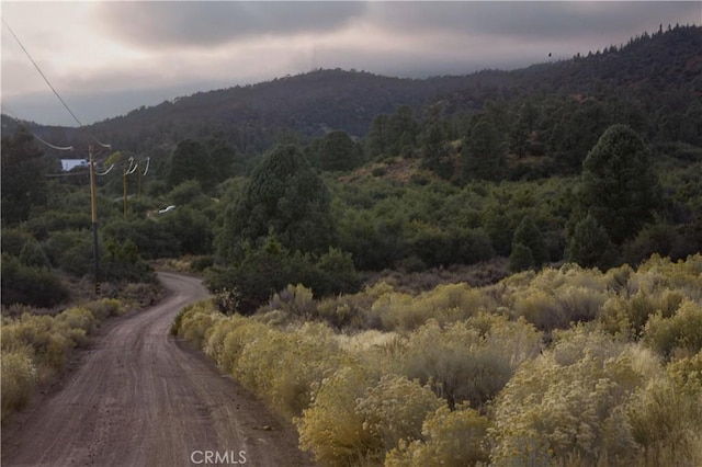 0 Curtis Trl, Frazier Park, CA 93225