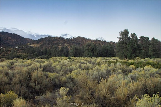 0 Curtis Trl, Frazier Park, CA 93225