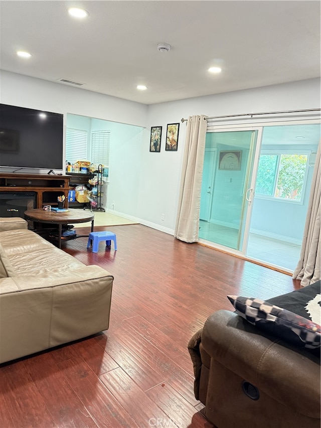 living room featuring wood-type flooring