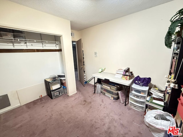 interior space with carpet flooring and a textured ceiling