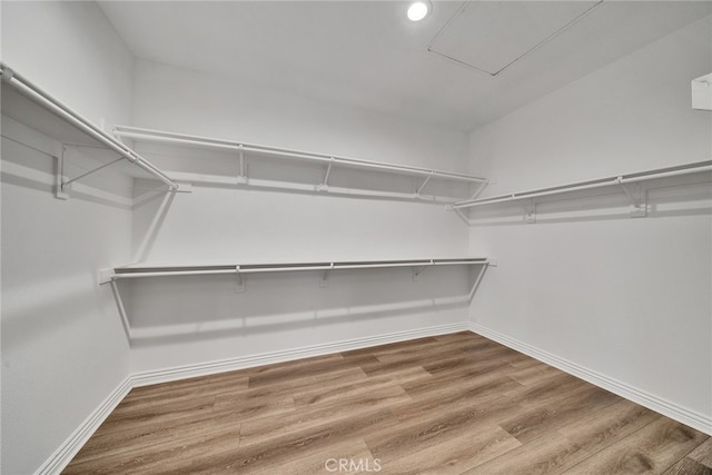 walk in closet with wood-type flooring