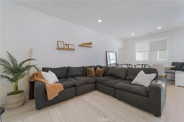 living room featuring light hardwood / wood-style flooring