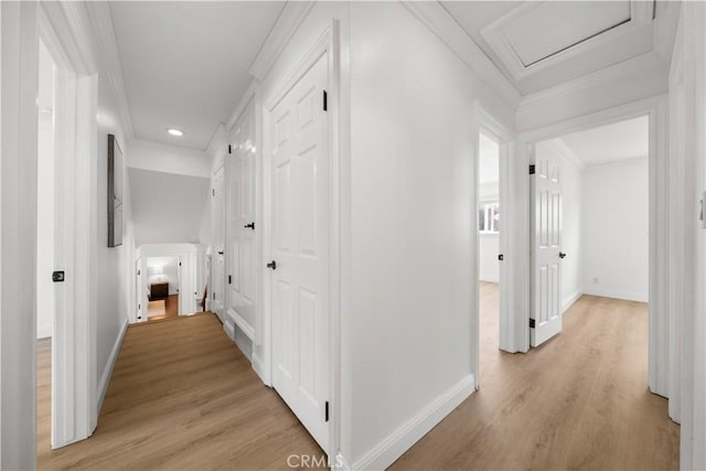 hallway with crown molding and light wood-type flooring