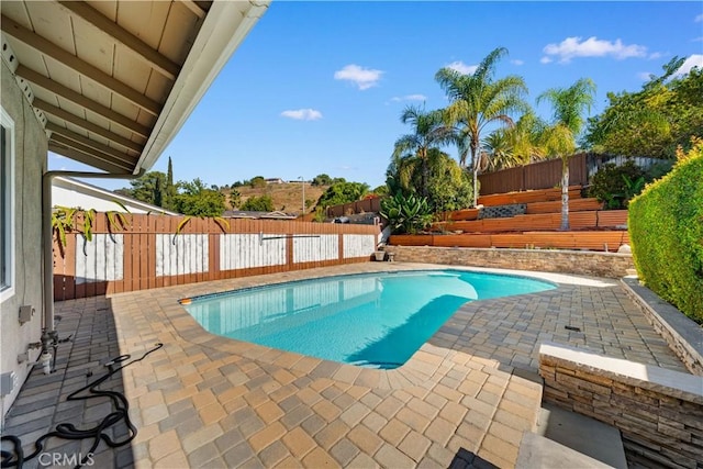 view of swimming pool with a patio