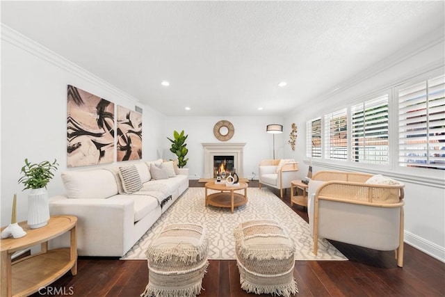 living room with crown molding and dark hardwood / wood-style floors